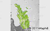 Physical Map of Thames-Coromandel, desaturated