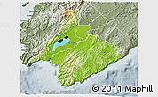 Physical 3D Map of South Wairarapa, semi-desaturated