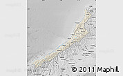 Shaded Relief Map of West Coast, desaturated