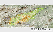 Physical Panoramic Map of Wiwili, semi-desaturated