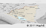 Shaded Relief Panoramic Map of Nicaragua, desaturated