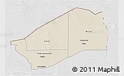 Shaded Relief 3D Map of Agadez, lighten, desaturated