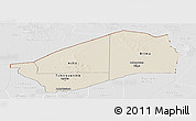 Shaded Relief Panoramic Map of Agadez, lighten, desaturated