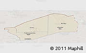 Shaded Relief Panoramic Map of Agadez, lighten, semi-desaturated