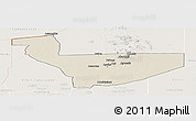 Shaded Relief Panoramic Map of Tchirozerine, lighten