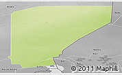 Physical Panoramic Map of Nguigmi, desaturated