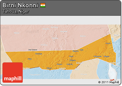 Political 3D Map of Birni Nkonni, lighten