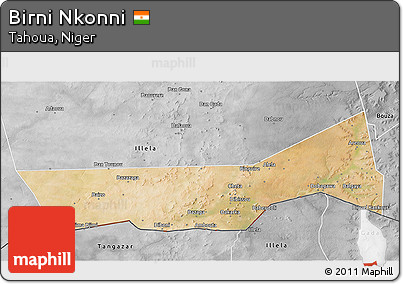 Satellite 3D Map of Birni Nkonni, desaturated