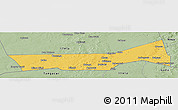 Savanna Style Panoramic Map of Birni Nkonni