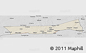 Shaded Relief Panoramic Map of Birni Nkonni, desaturated