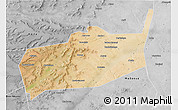 Satellite 3D Map of Bouza, desaturated