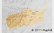 Satellite 3D Map of Bouza, lighten, desaturated