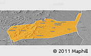 Political Panoramic Map of Bouza, desaturated