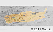 Satellite Panoramic Map of Bouza, desaturated