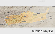 Satellite Panoramic Map of Bouza, semi-desaturated