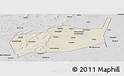 Shaded Relief Panoramic Map of Bouza, desaturated