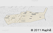 Shaded Relief Panoramic Map of Bouza, lighten, desaturated