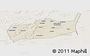 Shaded Relief Panoramic Map of Bouza, lighten
