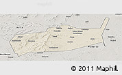 Shaded Relief Panoramic Map of Bouza, semi-desaturated