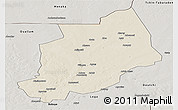 Shaded Relief Panoramic Map of Felingue, semi-desaturated