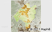 Physical 3D Map of Ganye, semi-desaturated