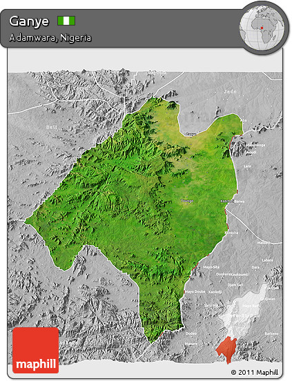 Satellite 3D Map of Ganye, lighten, desaturated