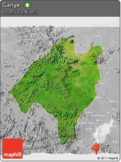 Satellite 3D Map of Ganye, lighten, desaturated