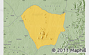 Savanna Style Map of Hong