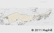 Shaded Relief Panoramic Map of Jada, lighten, desaturated