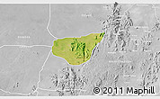Satellite 3D Map of Madagali, lighten, desaturated