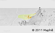 Physical Panoramic Map of Madagali, lighten, desaturated