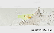 Physical Panoramic Map of Madagali, lighten, semi-desaturated