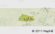 Satellite Panoramic Map of Michika, lighten
