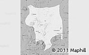 Gray Map of Toro