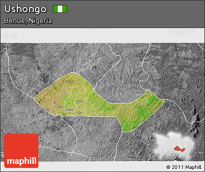 Satellite 3D Map of Ushongo, desaturated