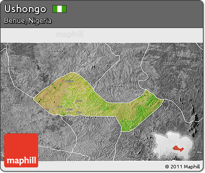Satellite 3D Map of Ushongo, desaturated