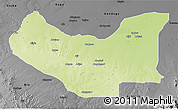 Physical 3D Map of Damboa, darken, desaturated