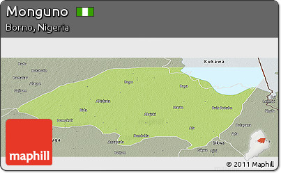 Physical Panoramic Map of Monguno, semi-desaturated