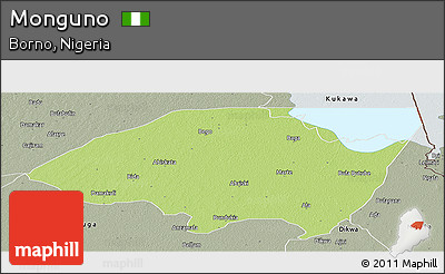 Physical Panoramic Map of Monguno, semi-desaturated