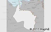 Gray 3D Map of Ngala