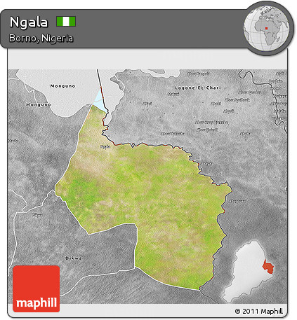 Satellite 3D Map of Ngala, desaturated