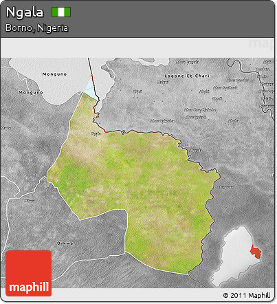 Satellite 3D Map of Ngala, desaturated
