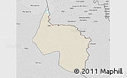 Shaded Relief 3D Map of Ngala, desaturated