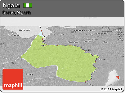 Physical Panoramic Map of Ngala, desaturated