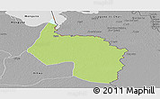 Physical Panoramic Map of Ngala, desaturated