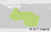 Physical Panoramic Map of Ngala, lighten, desaturated
