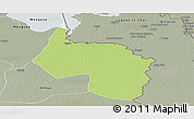 Physical Panoramic Map of Ngala, semi-desaturated