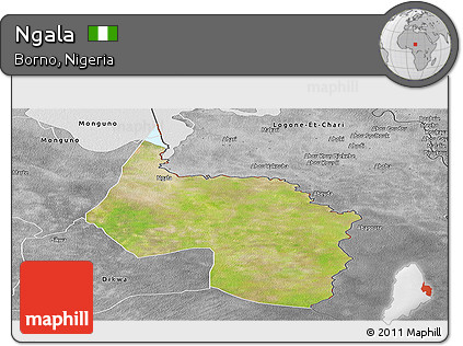 Satellite Panoramic Map of Ngala, desaturated