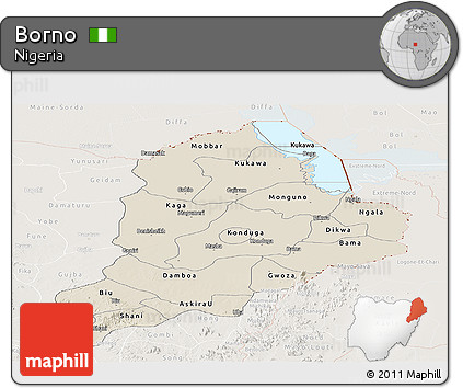 Shaded Relief Panoramic Map of Borno, lighten