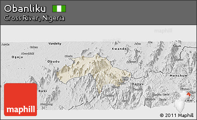 Shaded Relief Panoramic Map of Obanliku, desaturated